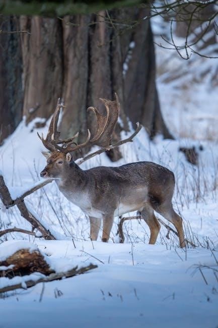 fight flight freeze fawn pdf